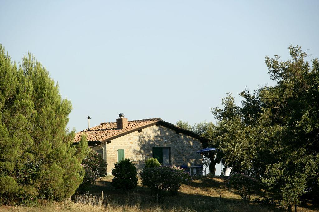 Fattoria Poggio Foco Villa Manciano Oda fotoğraf