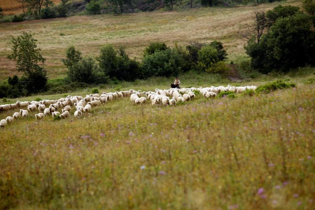 Fattoria Poggio Foco Villa Manciano Dış mekan fotoğraf