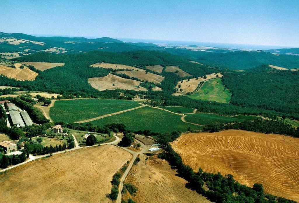 Fattoria Poggio Foco Villa Manciano Dış mekan fotoğraf