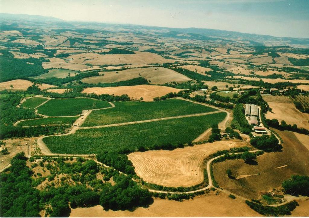Fattoria Poggio Foco Villa Manciano Dış mekan fotoğraf