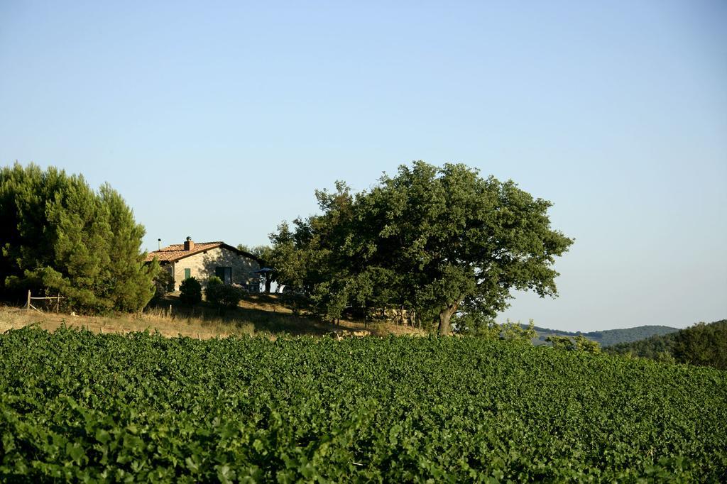 Fattoria Poggio Foco Villa Manciano Oda fotoğraf